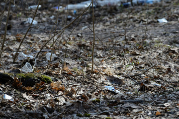 Garbage in the spring forest. The problem of ecology and pollution of nature