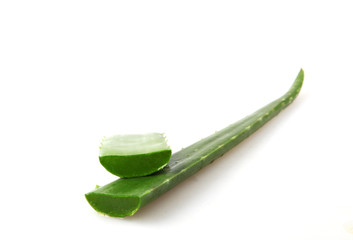 Aloe Vera On White Background