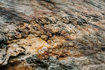 Stone texture background. The surface of granite and basalt. a large rock, a stone wall. close up. place for text.