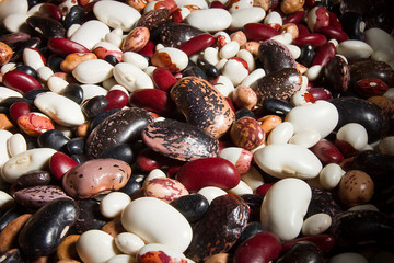 Mix of different varieties of beans