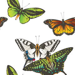 Vector butterflies. Hand drawn watercolor illustration. Isolated.