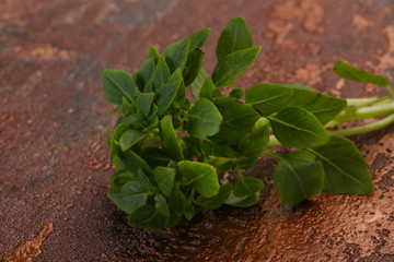 Green Basil leaves