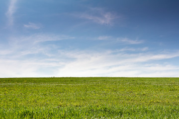 green field against blue sky with clouds