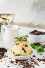 Vanilla Ice Cream With Chocolate and Mint