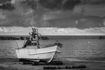 Naklejka premium Pesca