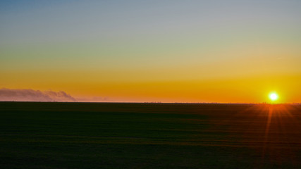 Image of a field of young wheat at sunset.