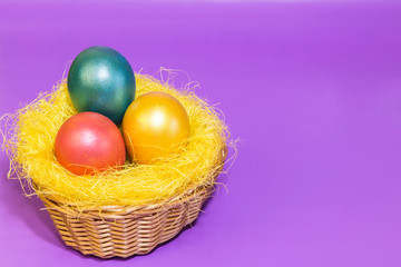Easter eggs dyed in golden yellow pink green color in a nest in a wicker basket on a lilac background