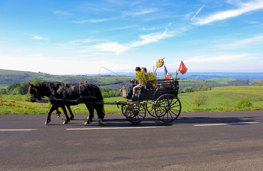 Fototapeta premium Attelage chevaux