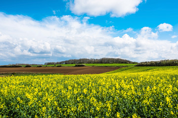 Obraz premium magnifique paysage de la campagne au printemps