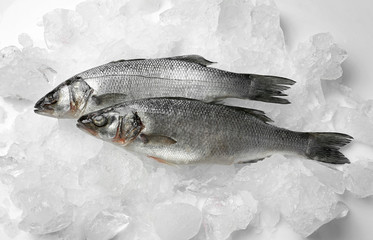 Fresh fish with ice on white background