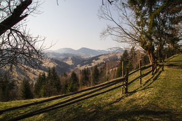 Fototapeta na wymiar Beautiful landscape in forest Carpathian mountains
