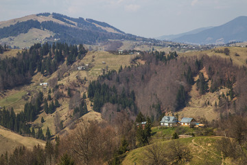 Obraz premium Beautiful landscape in forest Carpathian mountains