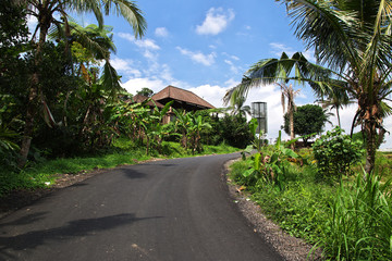 Fototapeta premium Bali, Indonesia, garden