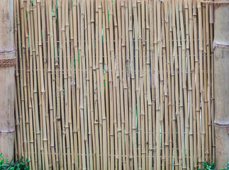 reed bamboo fence