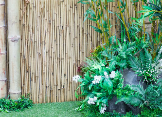 decorative green space of plants, spring tropical natural living background of leaves