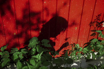 Children shadow on the wall