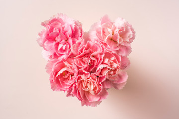 top view of carnation on pink background, mock up