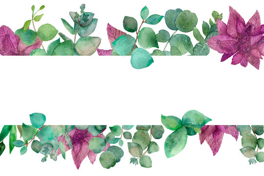 Watercolor hand painted banner frame with green eucaliptus leaves and branches and pink medicinal herb flowers with the space for text