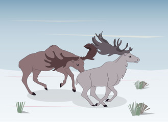 deer running in the mountains