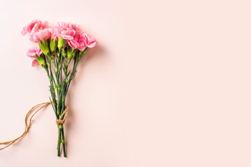 top view of carnation on pink background