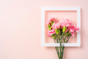 top view of carnation with white frame on pink