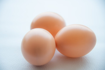 Group of eggs on white tone.