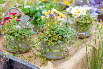 romantische Blumendekoration im Frühling, Landhaus Stil