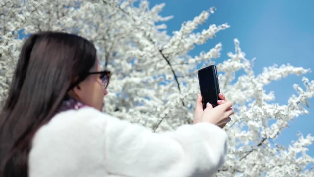 Fashion woman enjoying walking in park taking photo beautiful blooming white sakura tree using smartphone