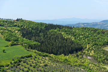 Fototapeta na wymiar Amazing spring colorful landscape in Tuscany, Italy.