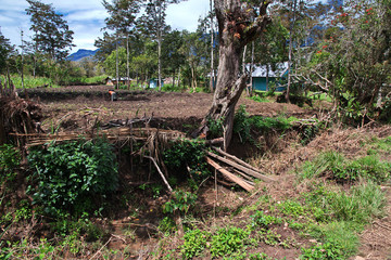 village, Papua New Guinea