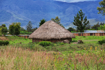 Fototapeta na wymiar village, Papua New Guinea