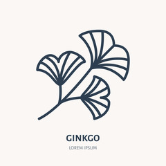 Ginkgo flat line icon. Chinese medicinal plant vector illustration. Thin sign for herbal medicine