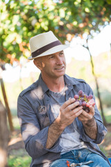 Winegrower man holding bunch of red grapes