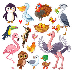 Set with birds. Vector illustration with animals.