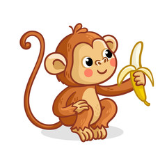 The monkey on a white background eats a banana.