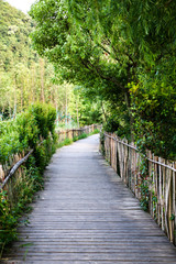 Obraz premium most w lesie