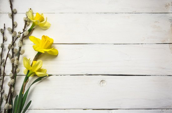 Spring flowers on the wooden background, yellow easter daffodils