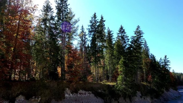 Herbstwald am Fluss
