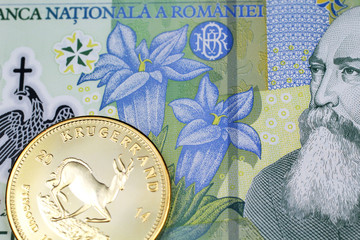 Romanian currency 2024 to naira