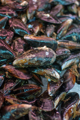 mussels in fish market