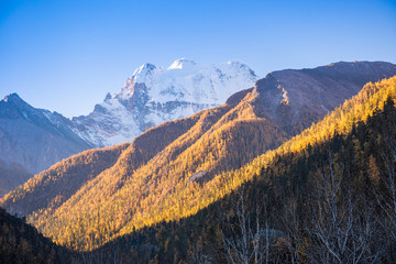 Beautiful view snow peak with  autumn leaves in  yading nature reserve, Sichuan, China.