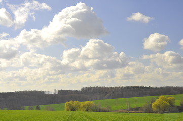 Obraz premium chmury