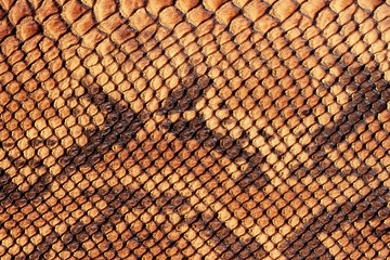 Texture of genuine matte rough leather close-up, embossed under the skin of scaly brown reptile. For modern pattern, wallpaper or banner design