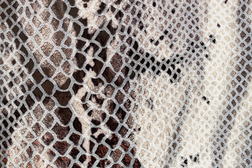 Texture of genuine patent leather close-up, embossed under the skin of light white brown reptile. For modern pattern, wallpaper or banner design