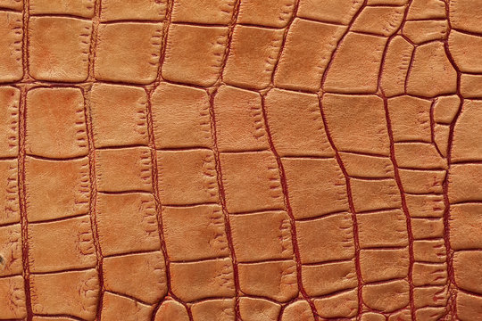 Texture of genuine leather close-up, embossed under the skin of brown reptile, croco. For modern pattern, wallpaper or banner design