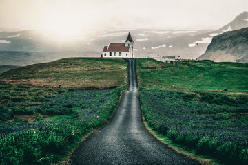 Ingjaldsholl church in Hellissandur, Iceland in the field of blooming lupine flowers with...