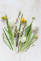 Spring flowers arrangement on a bright background, flat lay style with a copy space