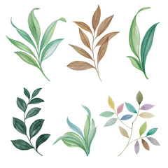 A set of leaves. Watercolor painting set of leaves on a white background. Hand draw watercolor illustration. Design element. Elegant leaves for art design.