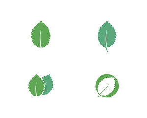 Mint leaf vector icon illustration design 