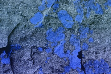 blue creative rough lichen on stone texture - pretty abstract photo background